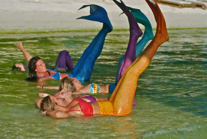 游泳学校教会你如何成为一个美人鱼(图2) 游泳学校教会你如何成为一个美人鱼--置顶表情