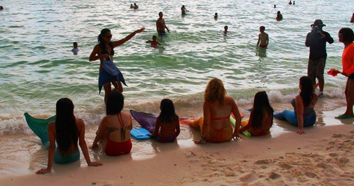 游泳学校教会你如何成为一个美人鱼(图3) 游泳学校教会你如何成为一个美人鱼--置顶表情