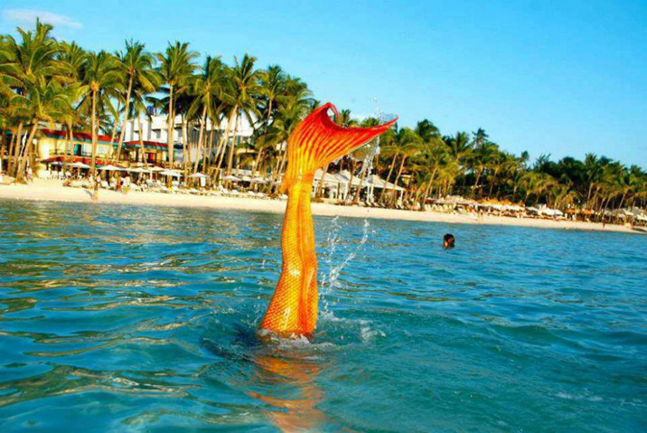 游泳学校教会你如何成为一个美人鱼(图8) 游泳学校教会你如何成为一个美人鱼--置顶表情