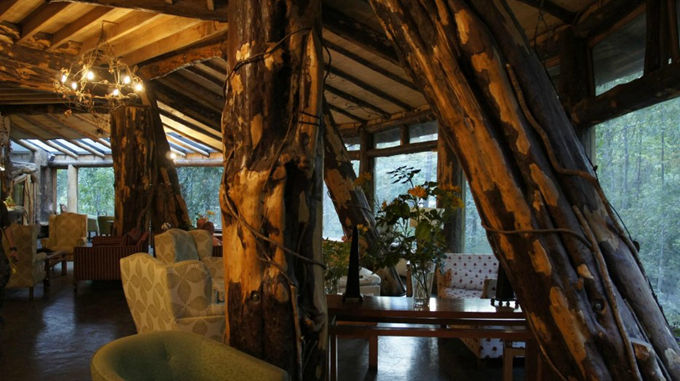 神奇的魔法木制酒店,童话森林里的城堡(图9) 神奇的魔法木制酒店,童话森林里的城堡--置顶表情